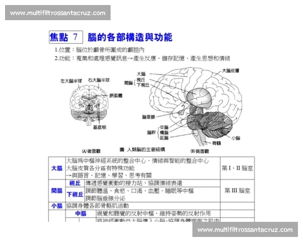 挑战大脑极限提升记忆力的训练技巧与竞赛试题解析