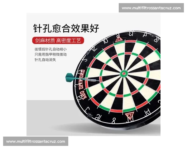 飞标盘比赛技巧解析与专业训练方法全攻略